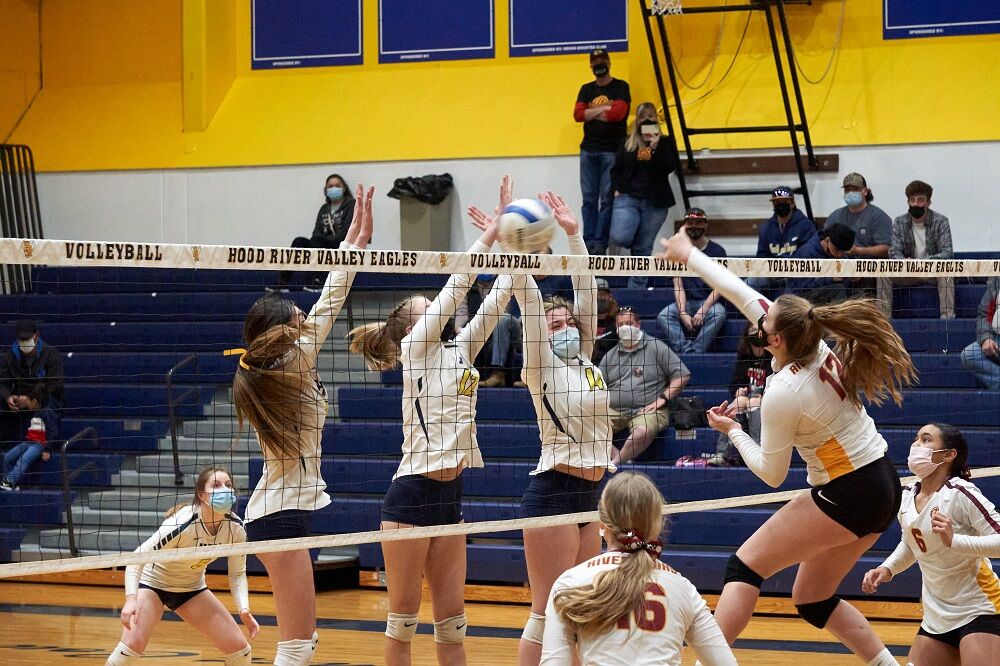 SPORTS TD vball tops HRV.jpg
